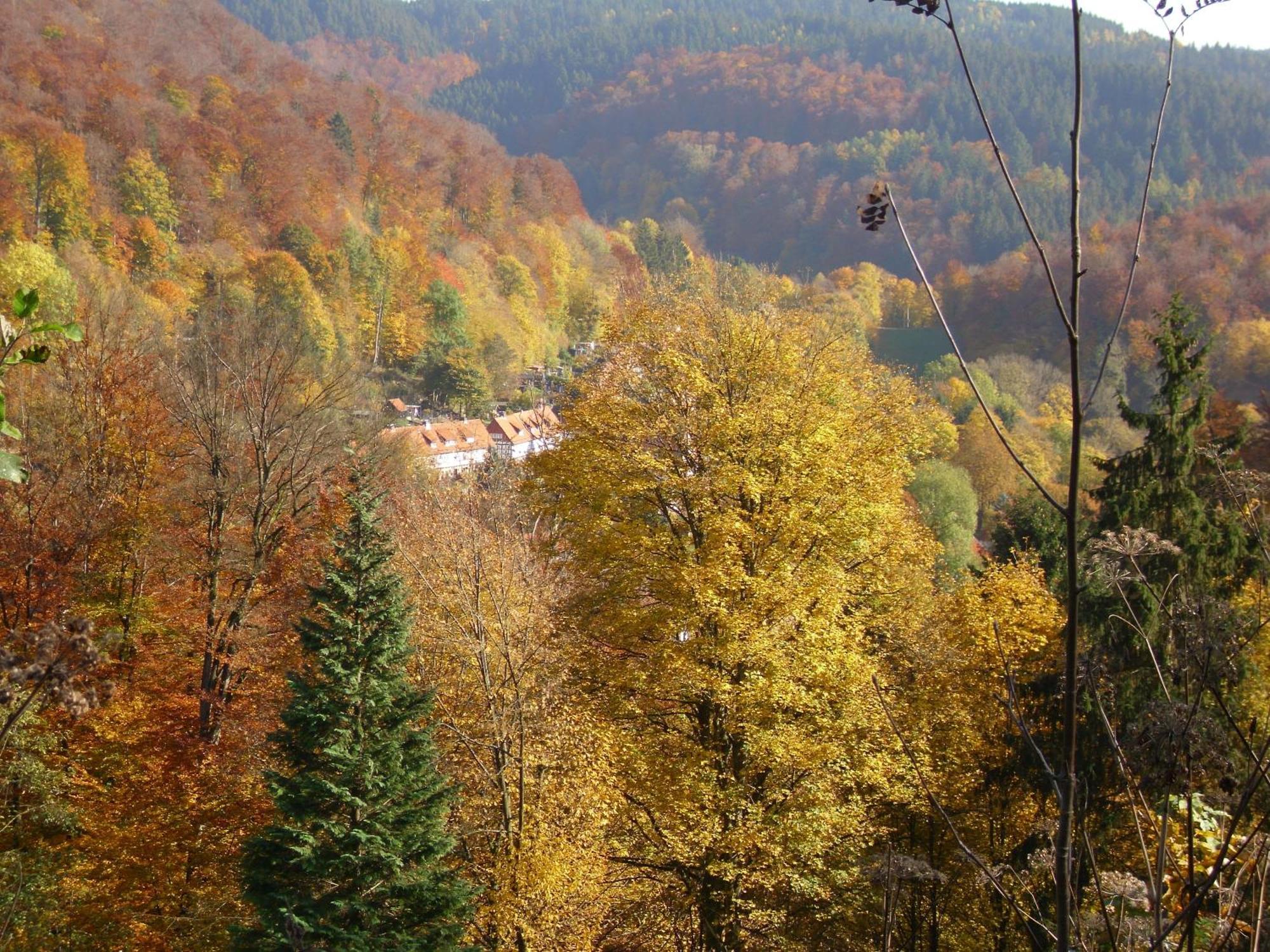 Naturkost-Hotel Harz Bad Grund Exteriér fotografie