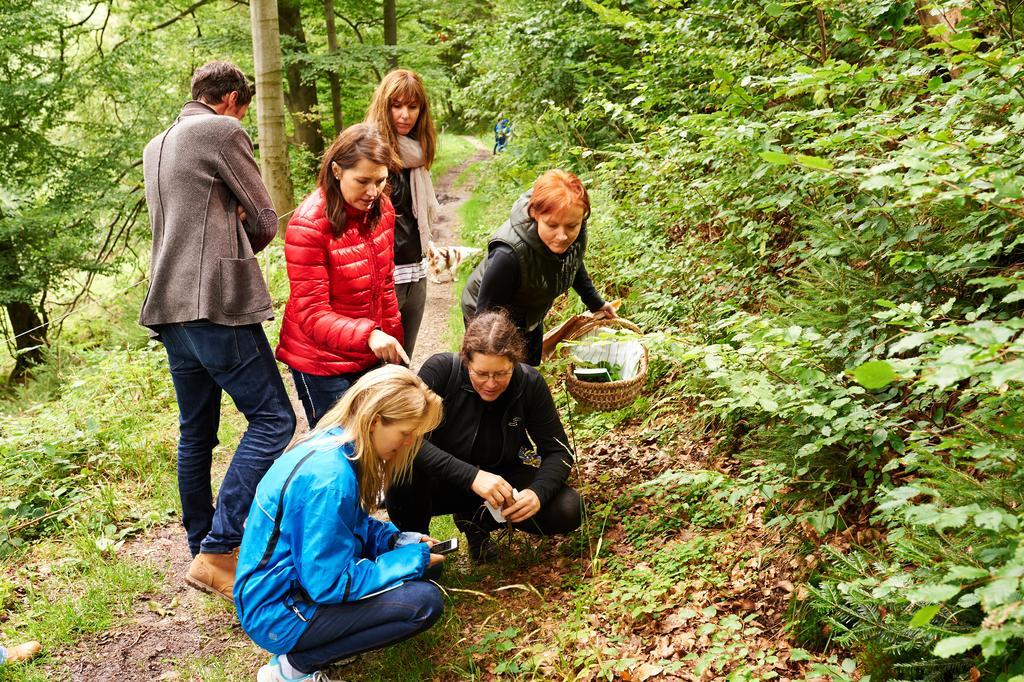Naturkost-Hotel Harz Bad Grund Exteriér fotografie